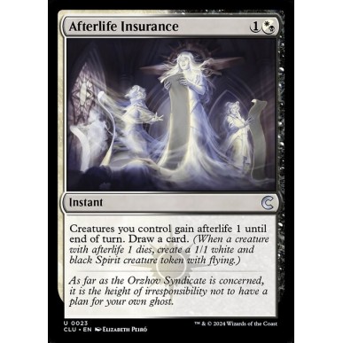 Afterlife Insurance