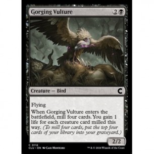 Gorging Vulture