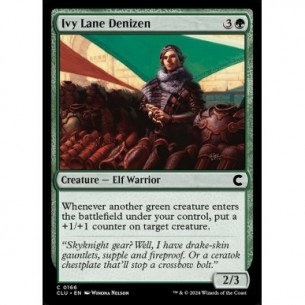 Ivy Lane Denizen