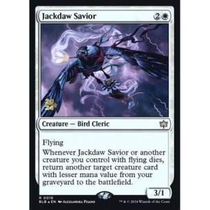 Jackdaw Savior