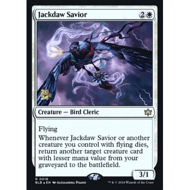 Jackdaw Savior