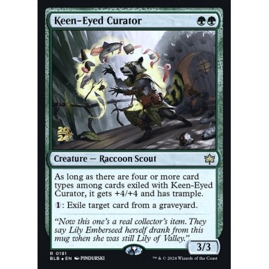 Keen-Eyed Curator