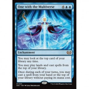 One with the Multiverse