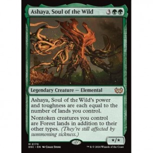 Ashaya, Soul of the Wild