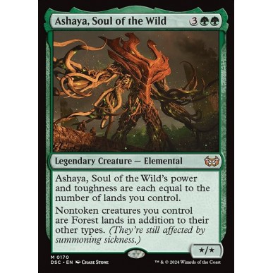 Ashaya, Soul of the Wild