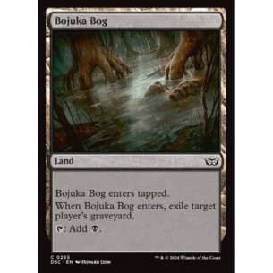 Acquitrino di Bojuka
