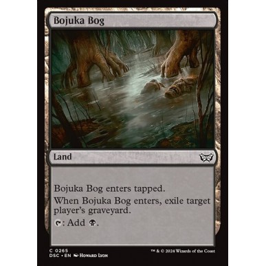 Acquitrino di Bojuka