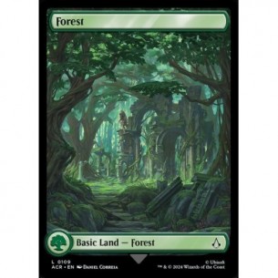 Forest