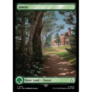 Forest