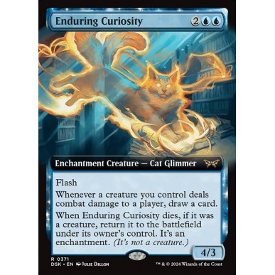 Enduring Curiosity