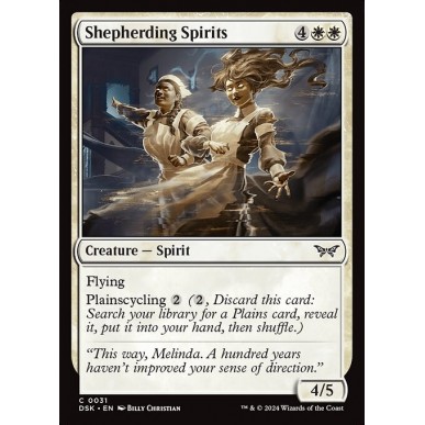 Spiriti Custodi