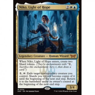 Niko, Luce di Speranza