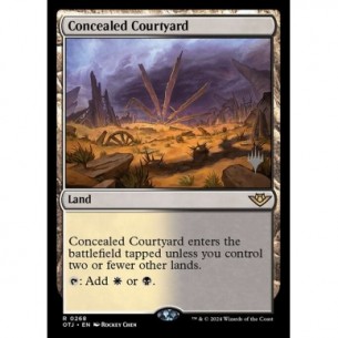 Concealed Courtyard