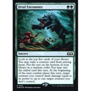 Feral Encounter