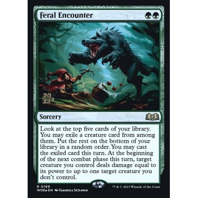 Feral Encounter