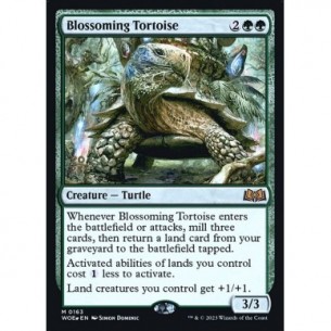 Blossoming Tortoise