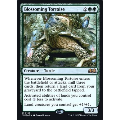 Blossoming Tortoise