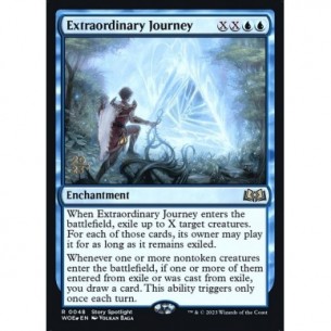 Extraordinary Journey
