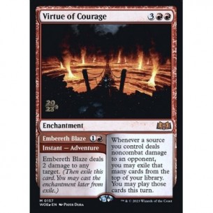 Virtue of Courage //...