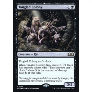 Tangled Colony