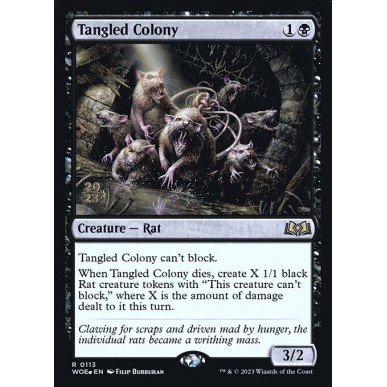 Tangled Colony