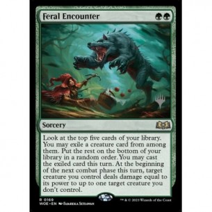 Feral Encounter