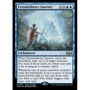 Extraordinary Journey