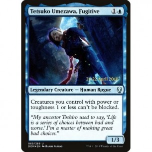 Tetsuko Umezawa, Fugitive