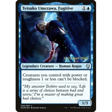 Tetsuko Umezawa, Fugitive