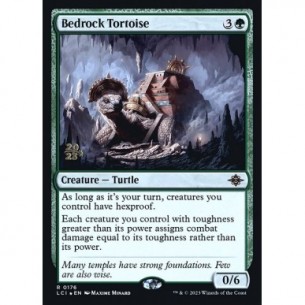 Bedrock Tortoise