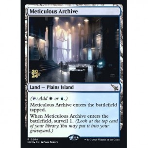 Meticulous Archive
