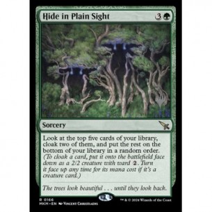 Hide in Plain Sight