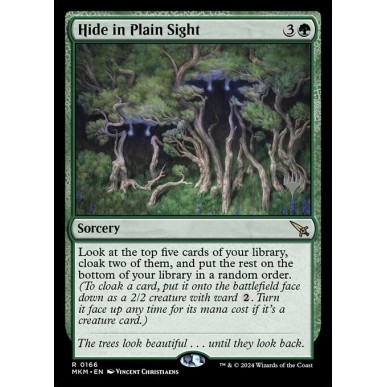 Hide in Plain Sight