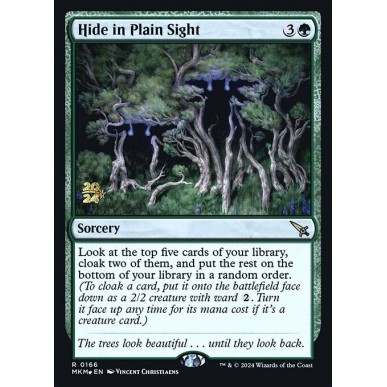 Hide in Plain Sight