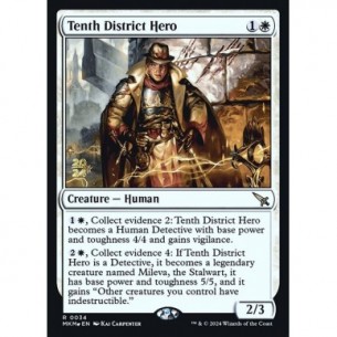 Tenth District Hero