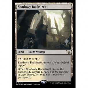 Shadowy Backstreet