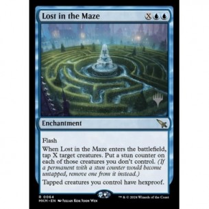 Lost in the Maze