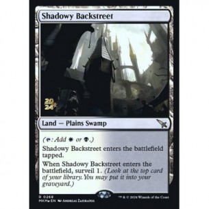 Shadowy Backstreet