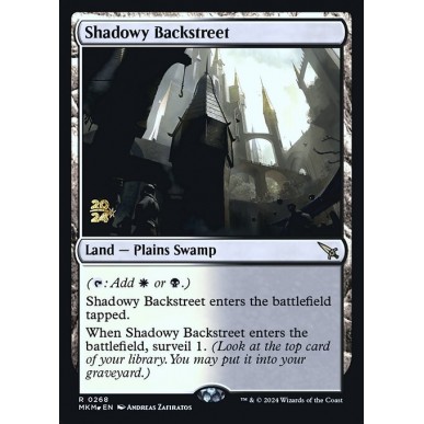 Shadowy Backstreet