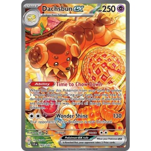 Dachsbun ex