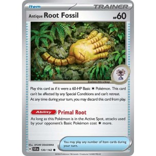 Antique Root Fossil