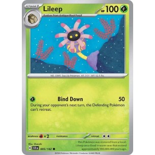 Lileep