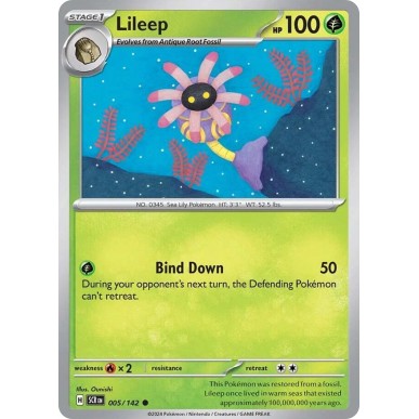 Lileep