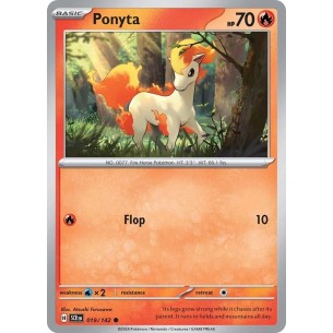 Ponyta