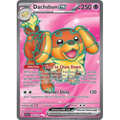 Dachsbun ex