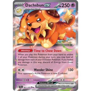 Dachsbun ex