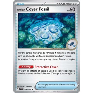Antique Cover Fossil