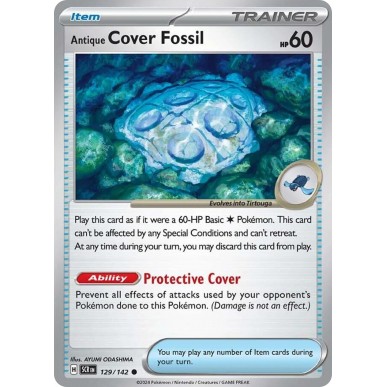 Antique Cover Fossil