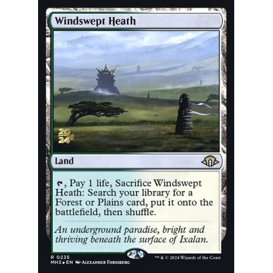 Windswept Heath