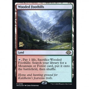 Wooded Foothills